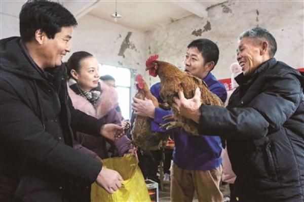  雄壮：看，我们这土鸡多雄壮