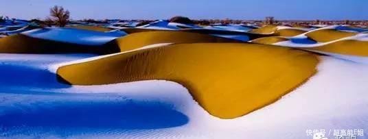 甘肃沙漠居然下雪了, 刚拍的! 简直美到爆! 一组照片惊艳全国~
