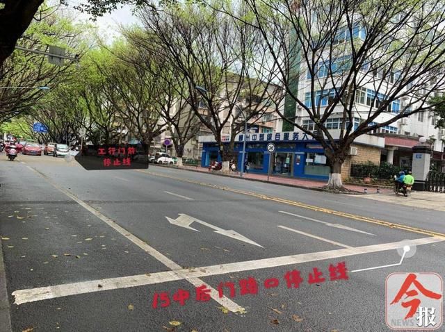 两条线@红绿灯下两条线,网友问,应该怎么过?