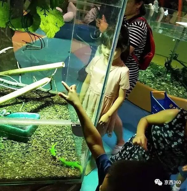 skr!郭德纲、于谦、小岳岳要来五棵松了，你还坐得住吗?