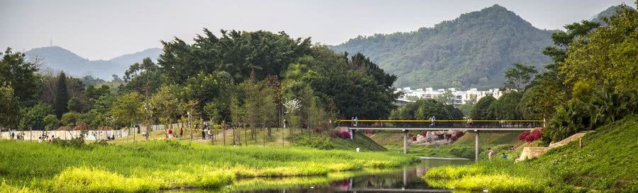  「美味」暴雨过后，农村的河两岸长出了一种美味，吃起来味道好