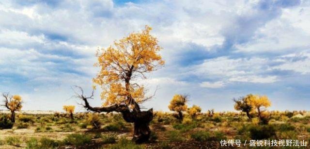 我国最让游客反感的省份，景色非常优美，但景点到处圈起来收费