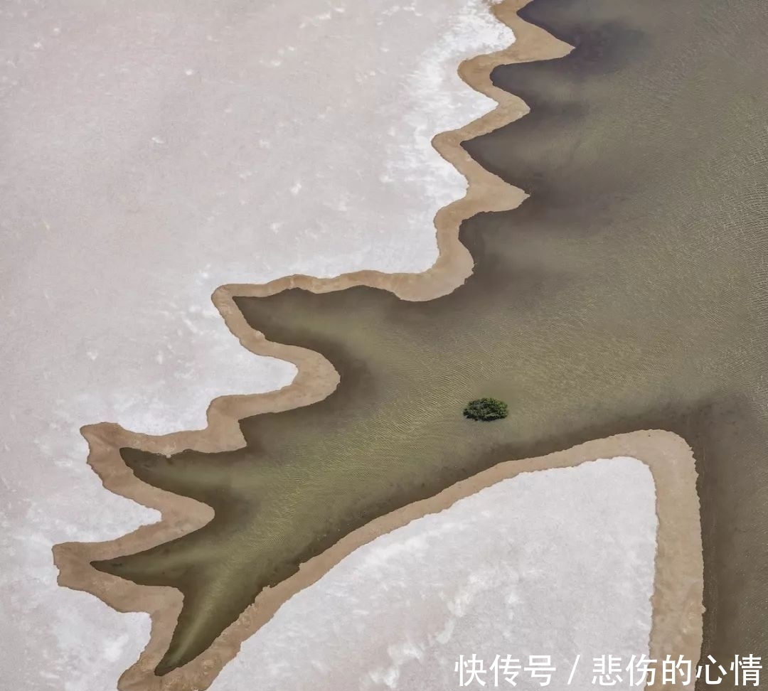 『极致』美到极致的自然风光!2019年度国际风光摄影师大赛结果出炉