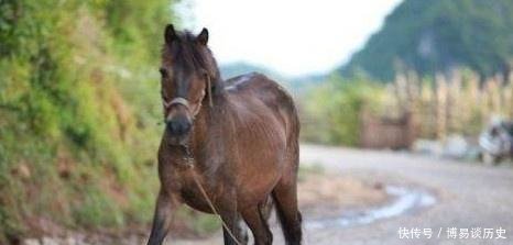 农村俗语“门前有有马不为富，家里有人不算穷”这话啥意思