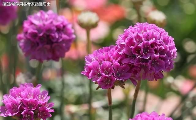  『商品』痣相算命： 少见商品，荣华富贵双全的好痣