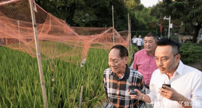  『研究』袁隆平邀请汪涵家中做客，一起下田研究水稻，他们什么关系