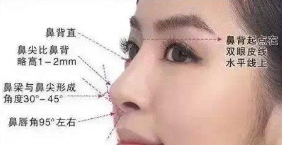 『审美观中』鼻子有这4个特征的人,才称得上“完美鼻”,中一个也是美丽佳人