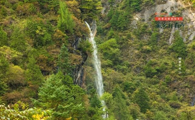 未曾被商业开发的九寨沟姊妹：宕昌官鹅沟，风景秀美，交通便捷