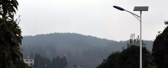 国务院正式通知！“村村通”路灯普及，让农民怨声载道，老农：住