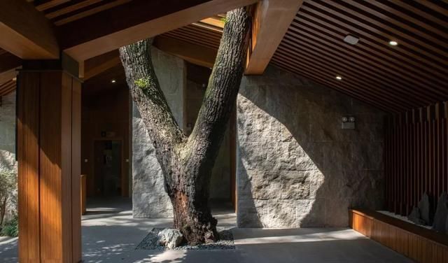 刷脸启动马桶、wifi全免费……中国诞生最美公厕