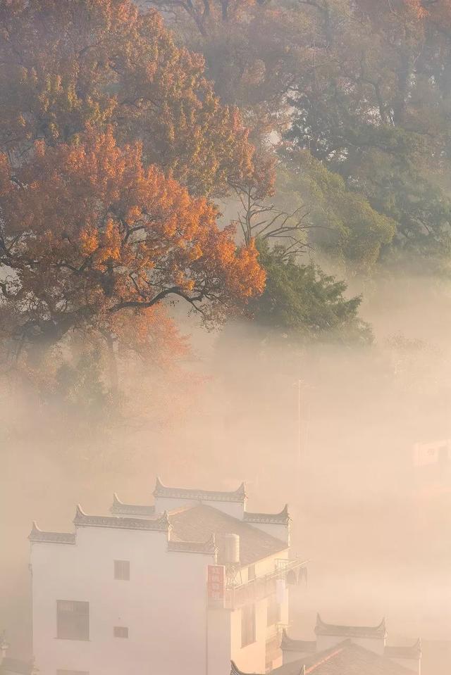 放弃辣些热门景点吧！被人遗忘的古村落，才是十一该去的地方