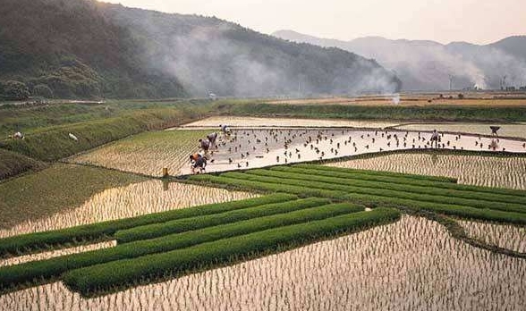 4月起，这4类土地将被“强制”收回！一分钱都不补偿！你家有吗