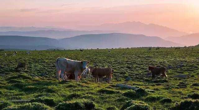  宁武天池：中国神奇小城，藏有5大千古之谜，令无数驴友叹为观止！