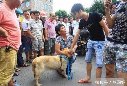 2岁儿子被狗咬父亲将狗摔死,妻子被爱狗人士
