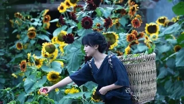  乡村旅游■李子柒的后院火了，2000万游客：这才是我想去的乡村