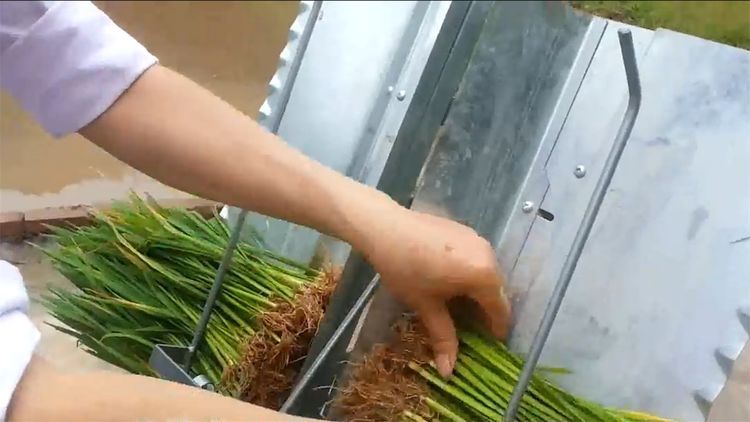  民间|民间牛人发明“手摇式”插秧机，不用油不用电，200元造一