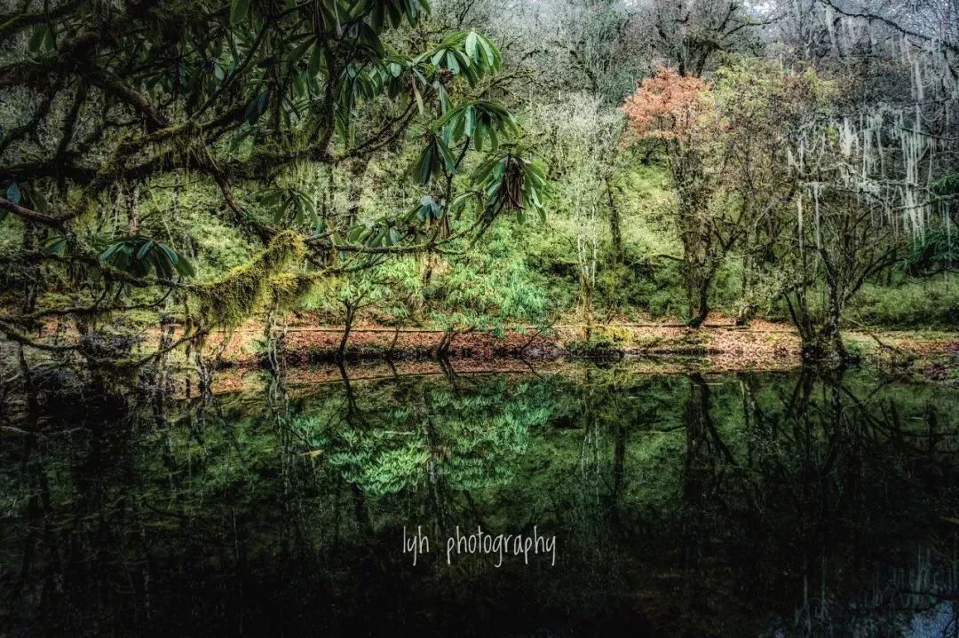 四川这座小城，叫板稻城亚丁，不输江南，藏着亚洲第一云海，高铁