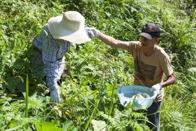  老桥@52岁的他为健康养老，跑大山里盖木屋，过上让人艳羡的生活