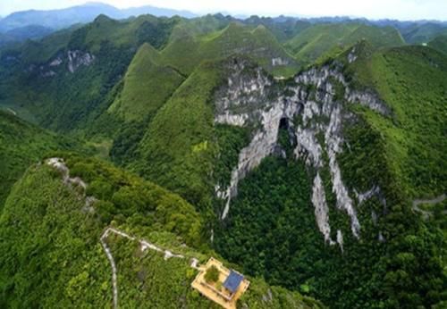 最大地下原始森林，藏在我国天坑秘境内，面积约9.6万平方米
