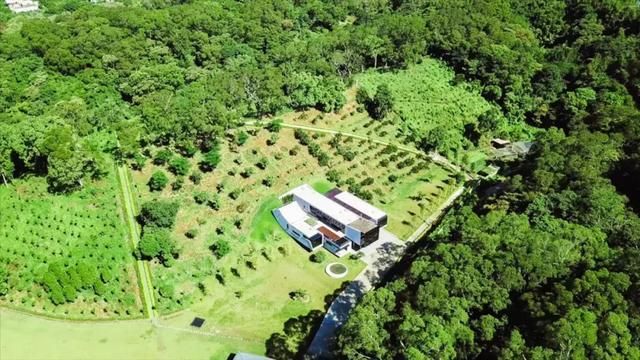 他买下30000小山头,造了一栋隐居的房子,远离城市,幽静清心