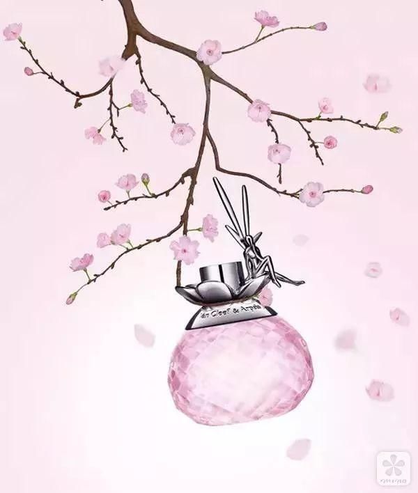 香氛｜戚薇冰箱藏香告诉我们：比起使用率，有些香水就是用来看的