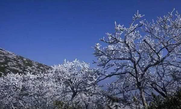 看贵州的惊艳雪景，期待一睁眼的惊喜