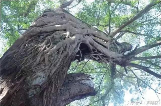 “江南第一村”蒋经国亲笔提名的村庄