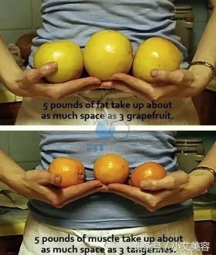 99%的女生显胖不是因为体重增加，而是脂肪在身体的比例占得太多