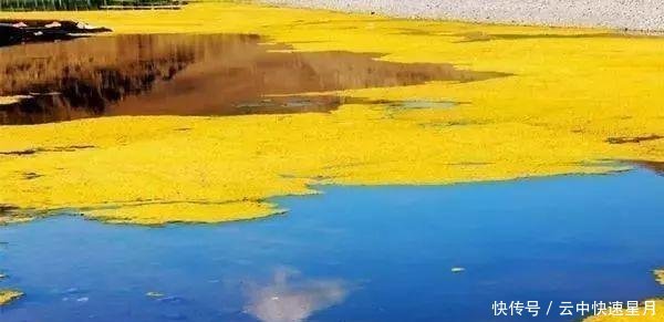  版图@这片净土属于中国领土，98年划归中国版图，国人却很少知道