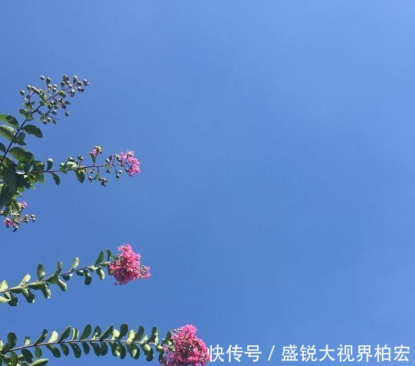 云台山踏秋——立秋后的那一抹姹紫嫣红