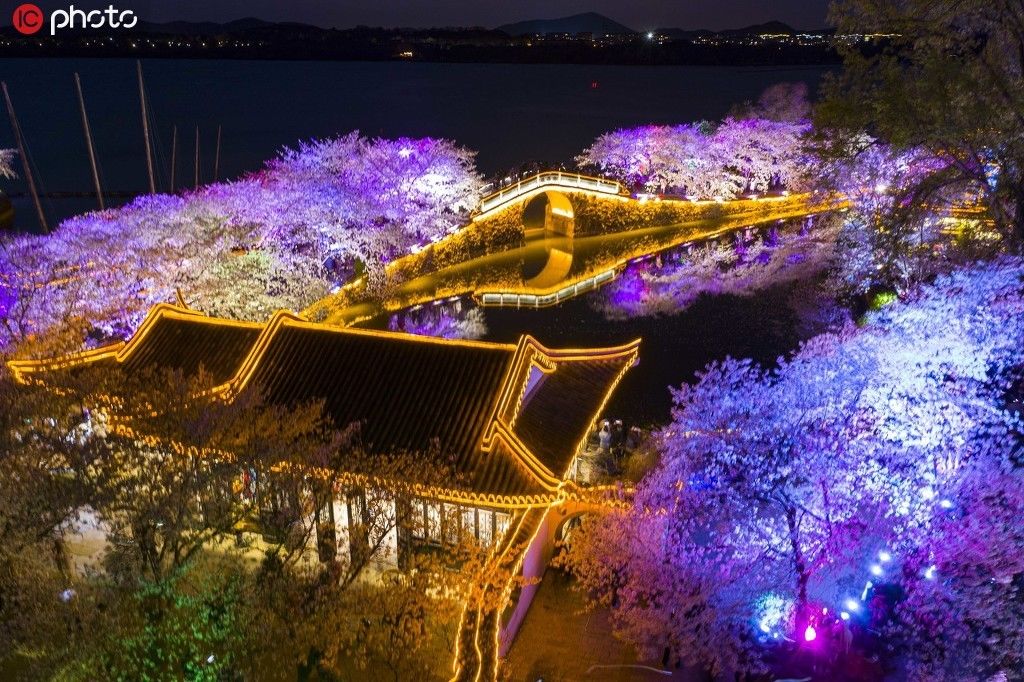  无锡：江苏无锡太湖鼋头渚景区夜樱美如画