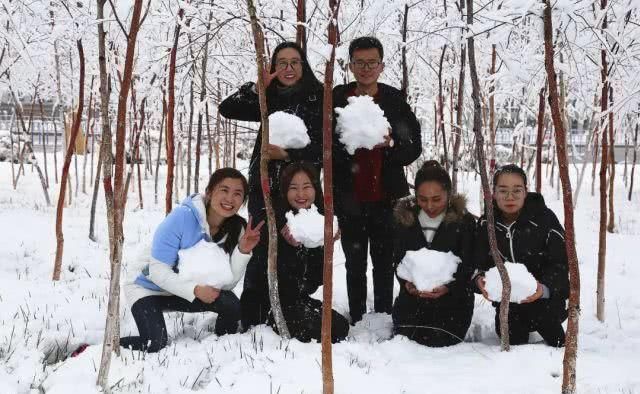 天马踏雪！这个冬天一定要来昭苏感受一下……