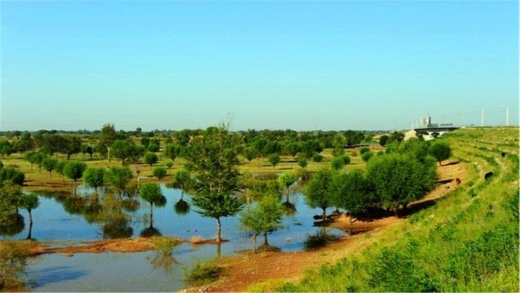 中国用了40年，将一片沙漠变成绿洲，联合国:以中国为傲