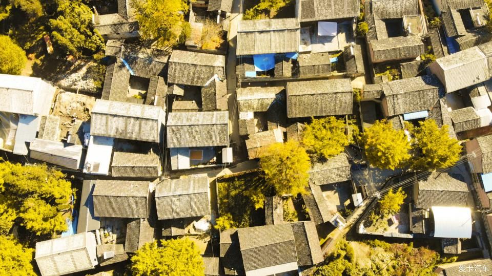 固东银杏村的黄色攻略