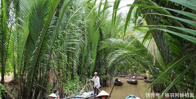 “禁止”把假货卖给中国游客，否则有牢狱之灾，越南政府“拼了”