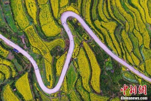 航拍江西婺源万亩梯田“油菜花海” 引游客纷至沓来