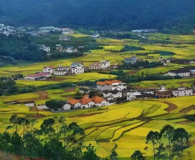 国务院明确部门分工:住房和城乡建设部负责这些工作
