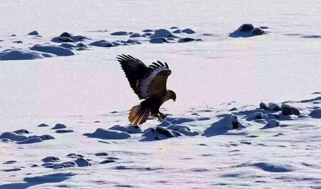 七八月的西藏是属于游客的，冬季的西藏，才是真正的西藏