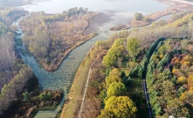 河南最大的黄河湿地自然保护区,冬日美景如画