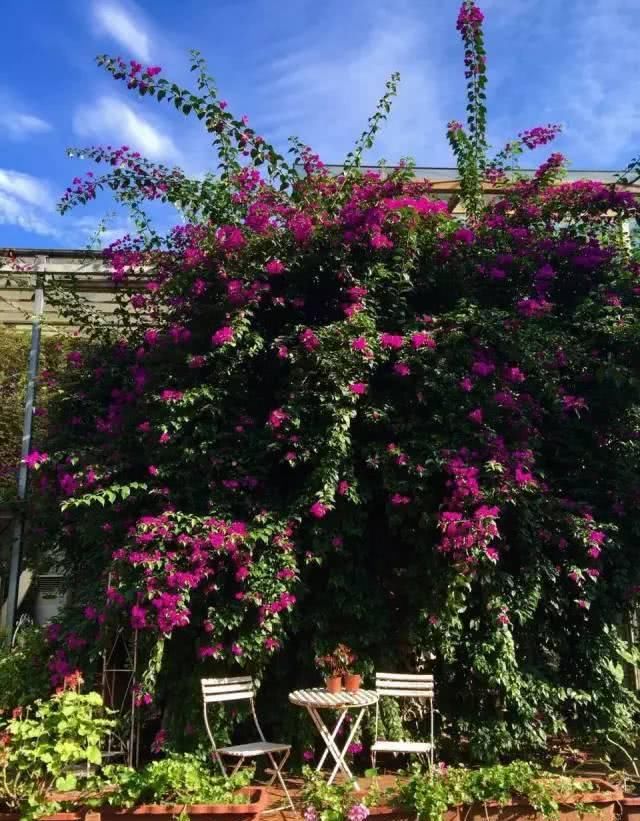 66岁大叔，8年时间打造出了中国最美私家花园，让人叹为观止！