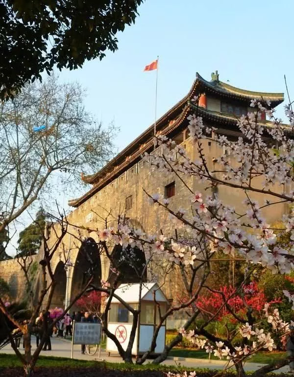 南京最大的桃花岛:一万亩桃花盛开,拥有四十多个品种!【2020热门旅游景点】