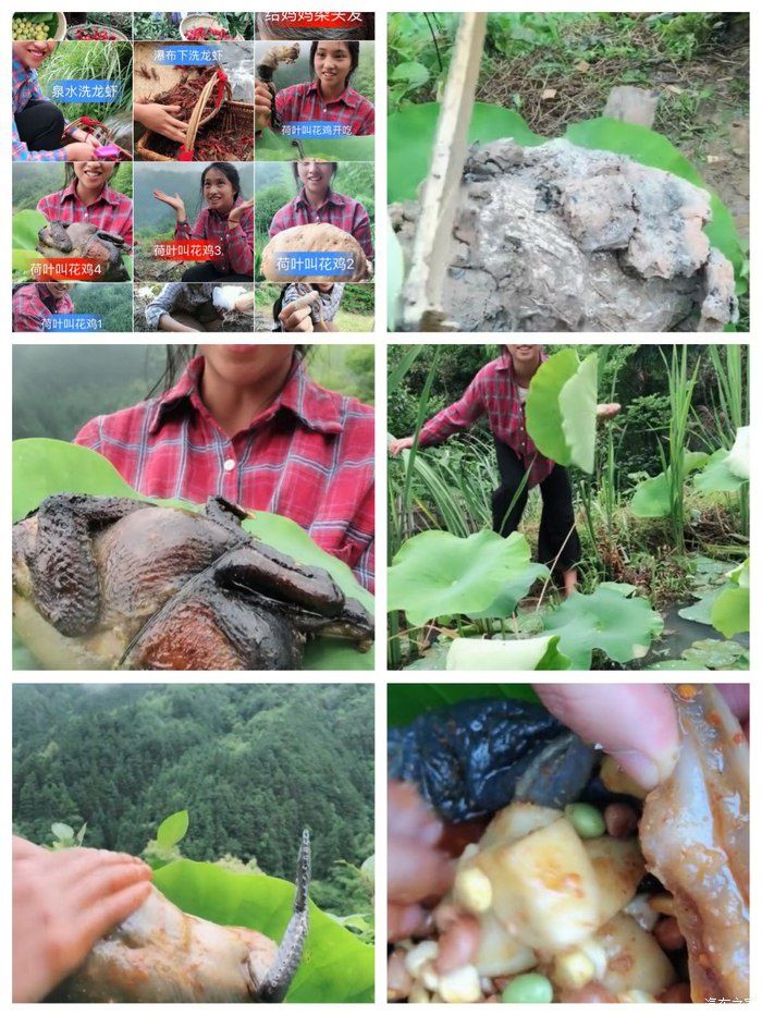 难忘的一次自驾游——和途观L到野外品荷叶鸡