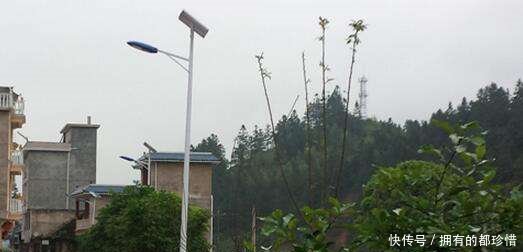 国家免费安装路灯，农民开始很高兴，后来却说不如不装，为啥