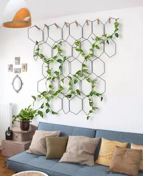  「空间」植物还种在地上？隔壁邻居把植物挂在了墙上，美翻了