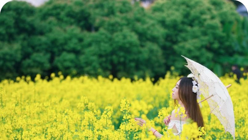  [如诗如画]春天里的美,如诗如画