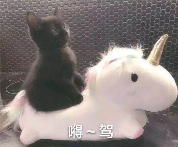  「高温」冷空气已成功渡江，南方要彻底与高温说拜拜了 ?