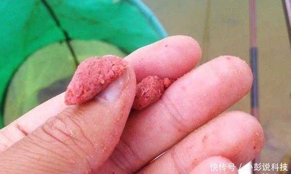  「黑坑」黑坑“偷驴”滑口鱼，试着这样来应对，效率超高，中鱼率有保证