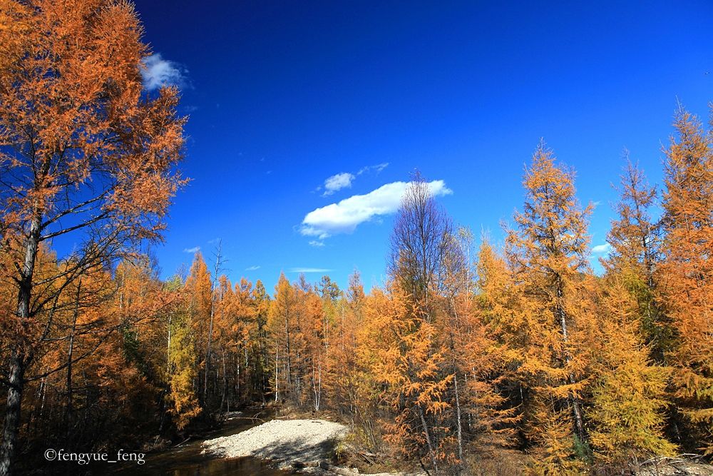 大兴安岭特大火灾澳洲火灾