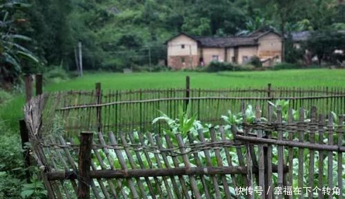  「快乐」篱笆小院住在乡村的快乐，你想体验吗！