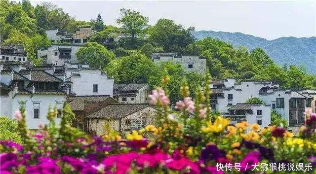 一个百年的村子，只养花不种田，隔着照片都想走进去看看！